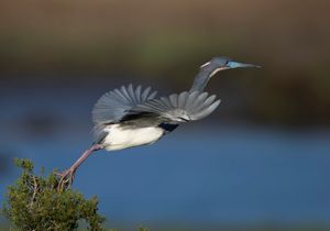 2023-04-25 TCH_02_28v2.jpg