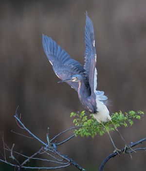 2023-04-20 TCH_02_24v2.jpg