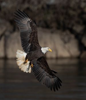 2022-11-29 BE IF RIVER_9V2.jpg