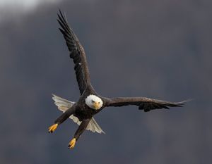 2022-11-29 BE IF INFACE DIVE_5v2.jpg