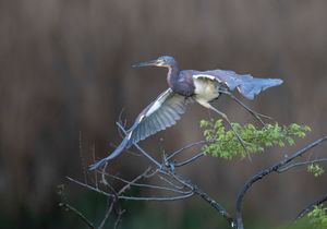 2023-04-20 TCH_02_25V2.jpg