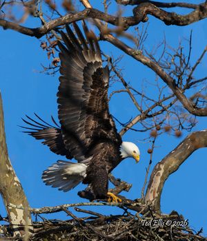 2026-04-06 BE NEST_6v2 copy.jpg