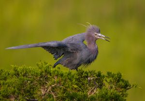 2023-06-29 LBH FEED_02_36V2.jpg