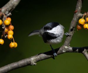 2023-09-26 CDee_02_2v2.jpg