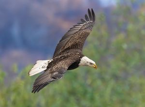 2025-11-12 BE IF BG 2V2 copy.jpg