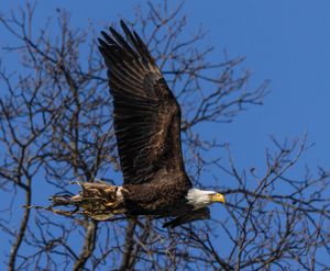 2026-03-28 BE NEST IF_9V2 copy.jpg