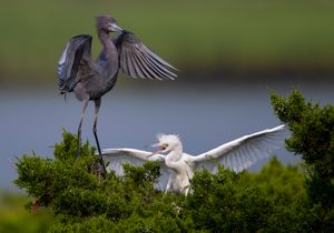 2023-06-29 LBH FEED_04_20V2.jpg