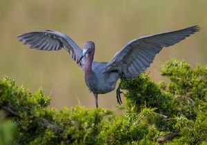 2023-05-24 LBH_01_9v2.jpg