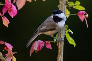 2023-10-04 CDEE_04_3v3.jpg