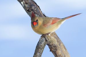 2016-01-24 26 CARD F_1V2.jpg