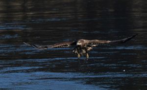 2023-11-08  BE JUVI FISHING_6V3.jpg