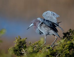 2023-04-19 LBH_02_4v2.jpg