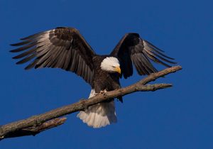 2023-11-13  BE LANDING 02_14v2.jpg