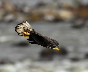 2025-11-12 BE IF JUV DIVE_8v2 copy.jpg