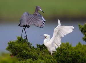 2023-06-29 LBH FEED_04_22v3.jpg