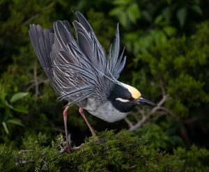 2023-05-22 YCNH DISPLAY_01_14V2.jpg