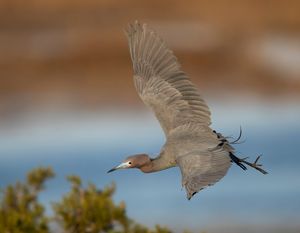 2023-04-19 LBH_01_8v2.jpg