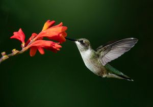 2023-07-25 RTHUM JUVI 05_1v2.jpg