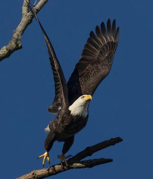 2023-11-02-08 BE LEAP 2_2V2.jpg