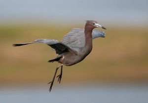 2023-05-17 LBH IN_01_4v2.jpg