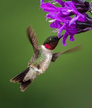 2022-05-26 RTHUM V2.jpg