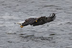 2025-11-12 BE FISHING EDITED_3v2 copy.jpg