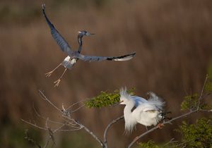 2023-04-25 TCH_01_23V2.jpg