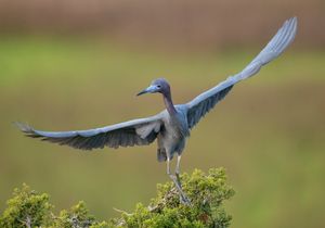 2023-05-08 LBH_02_8v2.jpg