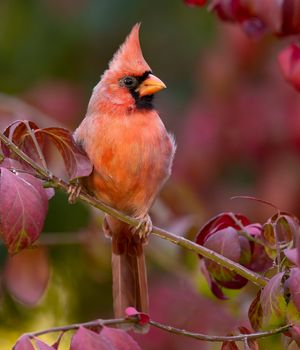 2023-10-13 CARD JUV_01_16V3.jpg