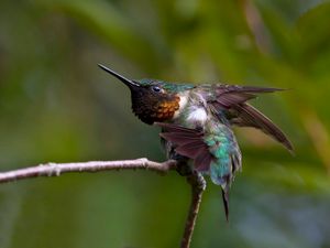 2012-08-11 STRETCHING REDO v3.jpg