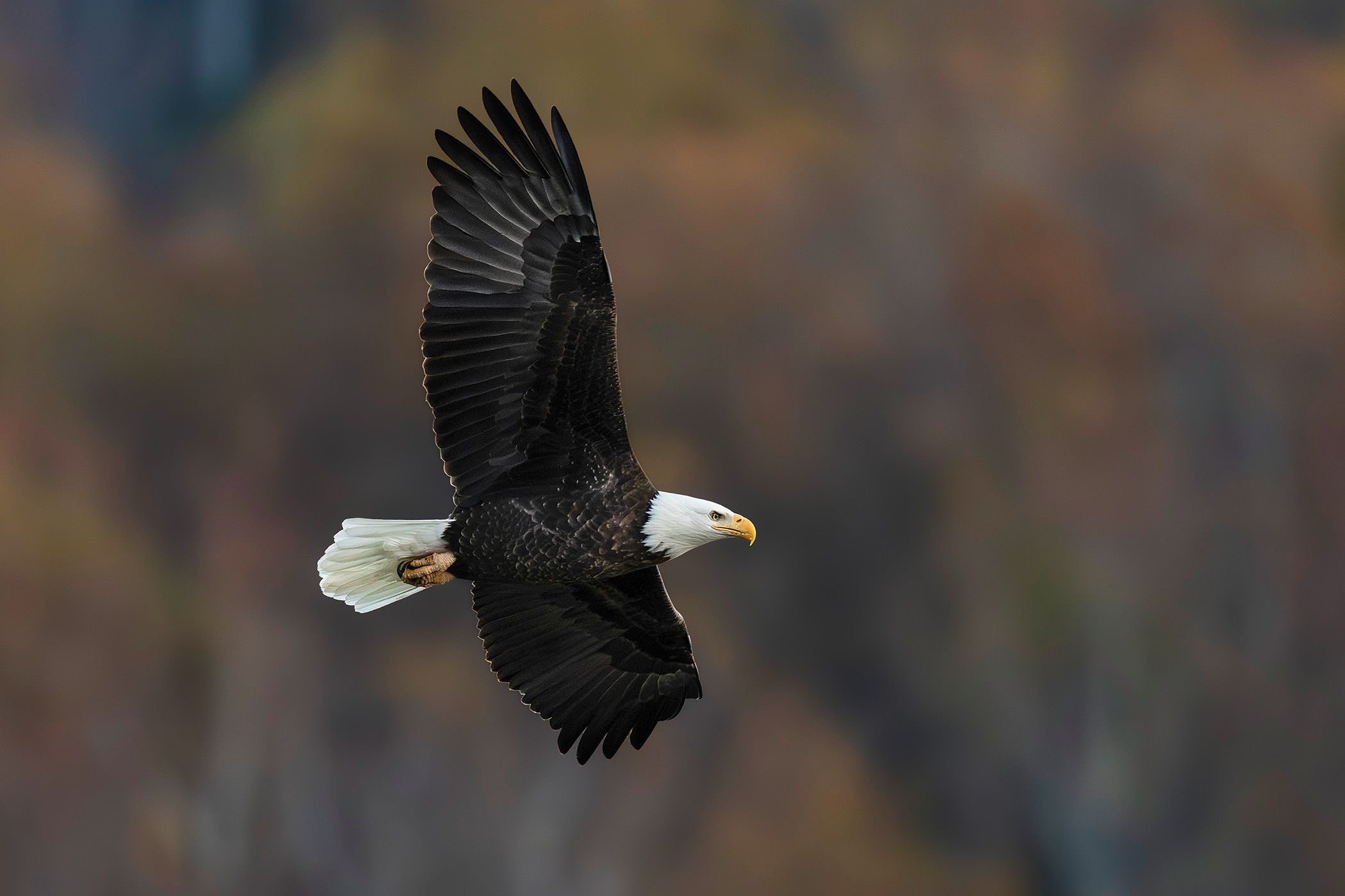 2025-10-28 BE IF SERIES_10v2 copy.jpg