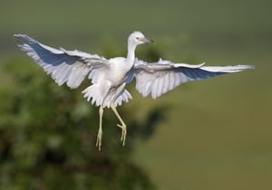 2019-07-04 LBH JUVI IF_2_2v2.jpg