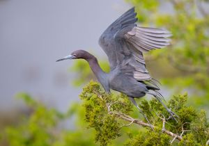 2023-05-17 LBH_02_9V2.jpg