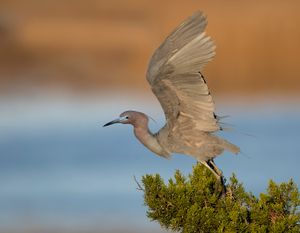 2023-04-19 LBH_01_4V2.jpg