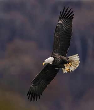 2025-11-12 BE IF FRONTAL_19V2 copy.jpg