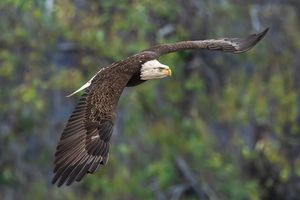 2025-11-12 BE IF BG 1V2 copy.jpg