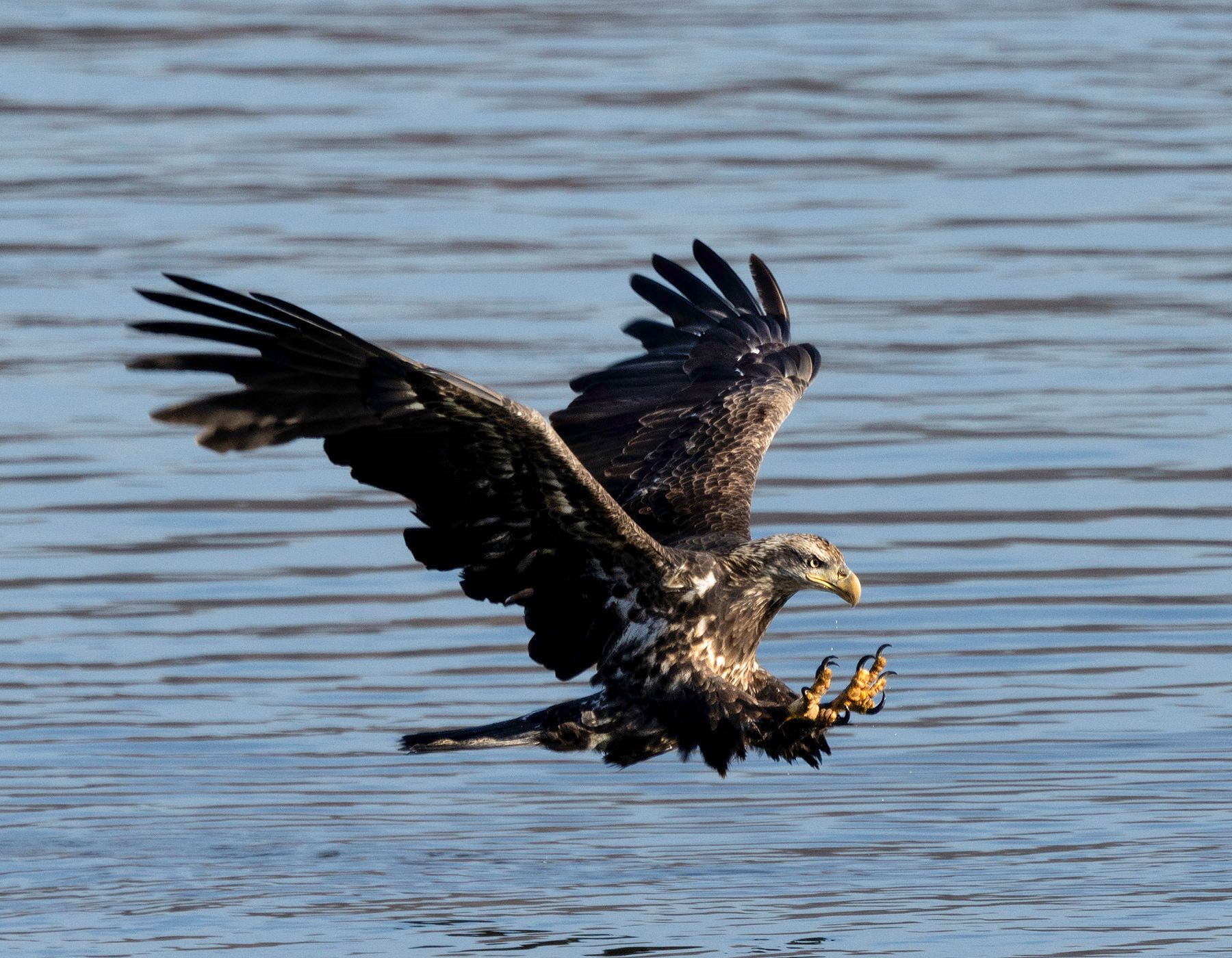 2024-11-25 JUVI FISHING_6V2 copy.jpg