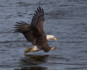 2017-11-21 BE FISHING 5_2v2.jpg