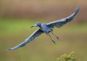 2023-05-08 LBH_02_11v3.jpg