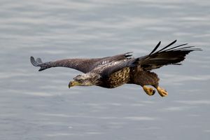 2016-12-02 BE IMMI FISHING SEQUENCE_17v2.jpg