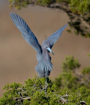 2023-04-18  LBH _03_1V2.jpg