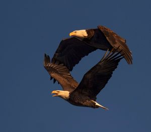 2022-11-22 BE IF DOUBLE_1v2.jpg