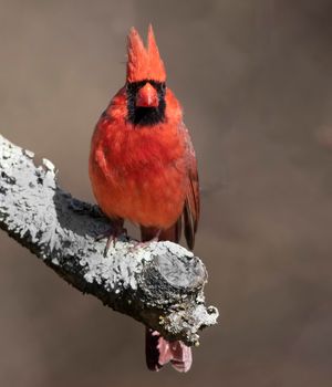 2023-03-27 CARD_37V2.jpg