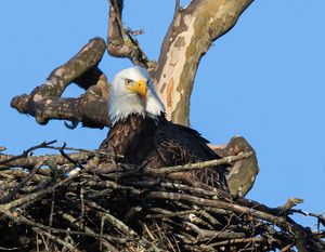 2026-04-11 BE NEST_4V2 copy.jpg