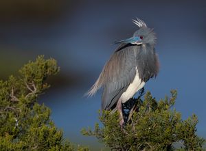 2023-04-25 TCH_02_9v2.jpg