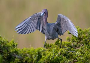 2023-05-24 LBH_01_6v2.jpg