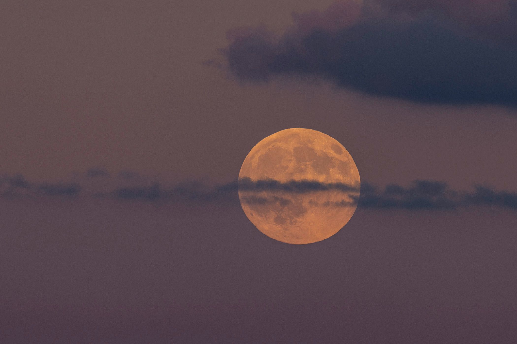 2025-09-06 HARVEST MOON_1v2 copy.jpg