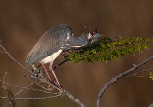 2023-04-25 TCH_01_8V2.jpg