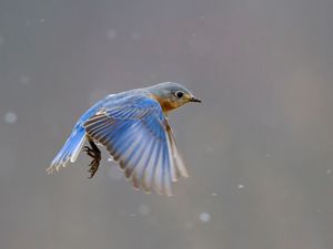 2015-03-28 BB IF_4v2.jpg