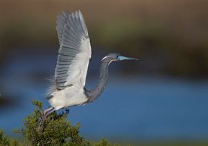 2023-04-25 TCH_02_27v2.jpg